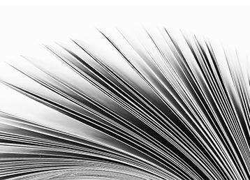 Paperback Book Printing