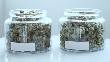 Selling Weed